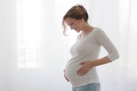 Semana 15 Cambios Fisiologicos Del Bebe Y La Madre Durante El Segundo Trimestre Embarazo Y Maternidad