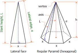What Are Lateral Faces Of A Shape? Definition And Examples