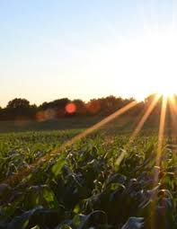 Obituary information for Gary Edward Epperson