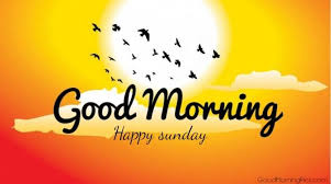 It's the weekend and the day is sunday, you are free from your daily routine and want to spend some quality time with friends, family, or your special one's. Good Morning Sunday 100 Images Posts Facebook