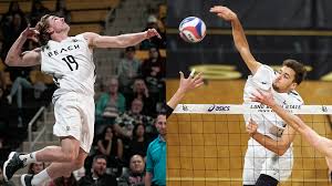 Tj defalco of long beach state men's volleyball named 2017 avca men's player of the year. Tj Defalco Men S Volleyball Long Beach State University Athletics