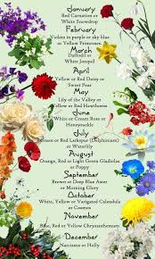April September February Birth Month Flowers Birth Flowers Month Flowers