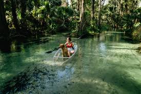 Inorganic mulch can be used though out a property's landscaping. Clear Kayaking In Central Florida A Cure For Theme Park Overkill