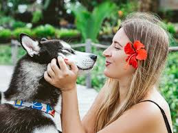 Image result for Hibiscus migeodii