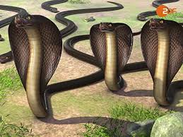 First introduced in the story kaa's hunting in the jungle book, kaa is a huge and powerful snake, more than 100 years old and still in his prime. The Jungle Book Tv Series 2010 Imdb