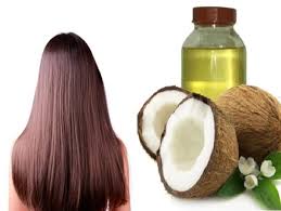فوائد زيت جوز الهند مع الثوم للشعر مقالة