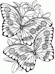 Kleurplaat Vlinders Vlinders Kleurplaten Dieren Kleurplaten Adult Coloring Pages
