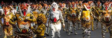 Unusual Festivals in India You Must Experience