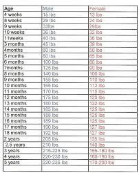 cane corso puppy feeding chart goldenacresdogs com