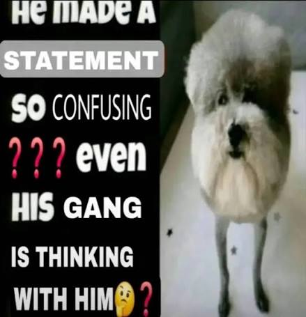 https://encrypted-tbn0.gstatic.com/images?q=tbn:ANd9GcRJF5LiVpCSys-n3YAyZcg6wD1dlAEkGIkIWv44G-2FB4JckrvsHOhmcEjz&s=10
