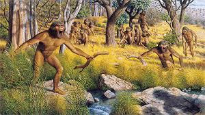 Bei uns hat sich kaum etwas verändert. Die Evolution Des Menschen