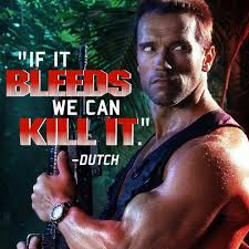 Perfil de If it bleeds we can kill it.
