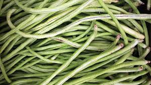 We did not find results for: Kacang Panjang Tanaman Dwifungsi Sumber Protein Nabati Unggulan Greeners Co