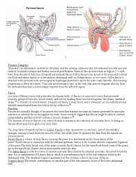 Buck's fascia (deep fascia of the penis, gallaudet's fascia or fascia of the penis) is a layer of deep fascia covering the three erectile bodies of the penis. Fournier Gangrene Soft Tissue Tissue Biology