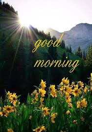 Hd good morning mountain images with motivational quotes. Pin By Anja Van Elsacker On Good Morning 2 Good Morning Images Good Morning Nature Morning Images