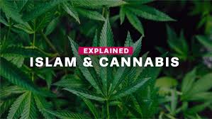 Usually it leads to a headache, the discovery that a close friend is actually secretly a raging capitalist/socialist (replace as per your. The Muslim Vibe What Does Islam Say About Cannabis Explained Facebook