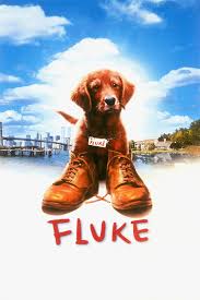 Kopek Filmleri Kopek Filmi Izle Kopek Filmleri 2019 Kopek Filmleri Turkce Dublaj Izle Sayfa 5 Forumtutkusu Com Forum Tutkunlarinin T Kopek Film Izleme