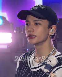 Rating Felix from Stray Kids, opinions