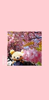 251 panda hd wallpapers and background images. Kawaii Bear Wallpaper By Emilka1183 9e Free On Zedge