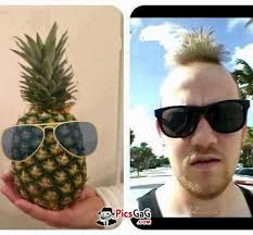 Published on november 18, 2016, under funny. Funny Pineapple Haircut