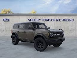 Image result for Brown 2025 Ford