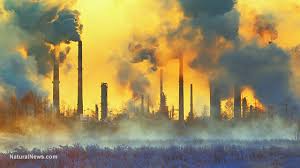 Image result for pollutions