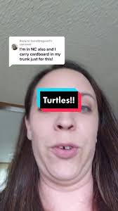 Reply to @brandithegreat1 @lomaxmotorsports #savetheturtles #cantstitchthis