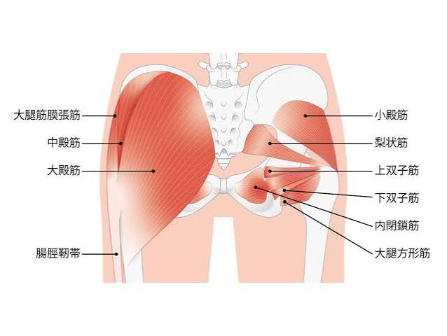 子育ての負担を軽減！育児中の抱っこと腰痛対策【すこやか整骨院(大阪市城東区)】