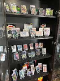 Image result for Gray 1998 Fleet