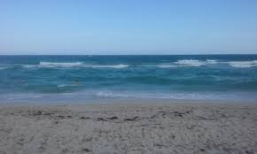 Bus miami beach, fl to miami airport: South Beach Picture Of Hilton Miami Airport Blue Lagoon Tripadvisor