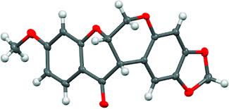 Image result for Millettia lasiantha