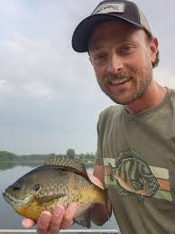 Orcas spotted near Whidbey shores in PNW