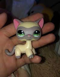 Authentic W Clear Peg Decent Condition Minus A Few Flaws That Can Be Removed Lps Littlest Pet Shop Little Pet Shop Custom Lps