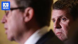 NSW Nationals leadership: Who are the candidates to replace Troy Grant and  Adrian Piccoli