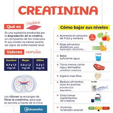 El análisis puede especialmente servir para detectar una insuficiencia renal. Creatinina Que Es Por Que Se Eleva Y Dieta Para Bajar Sus Niveles