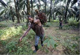 Meningkatkan kesejahteraan hidup warga peneroka. Peneroka Felda Akan Berhutang Rm200k Bila Masuk Fasa Tanam Semula Kedua Buletinonlines Net