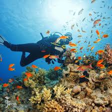 vivre une bonne expérience PLONGÉE SOUS-MARINE à Djerba 