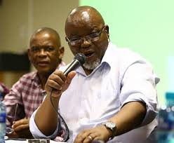 Seven zandile gumede supporters were arrested on thursday morning after violent clashes with police in front of former ethekwini mayor zandile gumede has been sworn in as an anc mpl in the. Raids On Zandile Gumede S Home A Plot To Tarnish Her Image