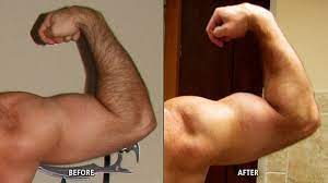 Building A Biceps Peak