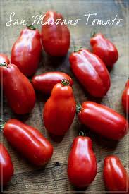 Image result for tomato San Marzano