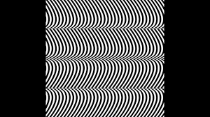Record bags, boxes & trolleys. Merzbow Pulse Demon Youtube
