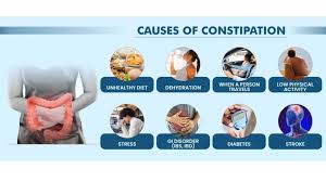 Image result for Constipation Causes
