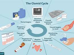 There are 326 days until april 7 2022. How To Take Clomid For Infertility