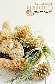 Save 10% on art and décor by susan bourdet. How To Make Beautifully Bleached Pinecones Sand And Sisal