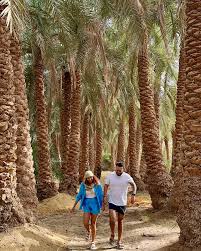 Profile for Danny Nevárez