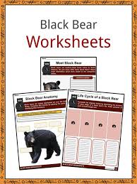 Try to remember, you always have to care for your child with amazing care, compassion and affection to. Black Bear Facts Worksheets Taxonomy Evolution For Kids
