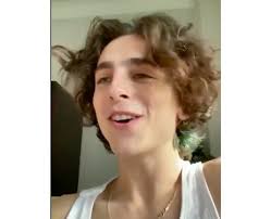 Timothee Chalamet 29 Facts You Probably Didn T Know About The Rising Star