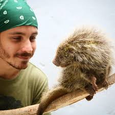 🇧🇷 Biólogo Victor Basílio (@victorcbasilio_) • Instagram photos and videos