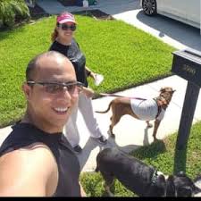 Dog walker based in the west end of dundee, if you'd like someone to walk your dog or look after them during the day, get in touch! Best Doggy Day Care In Dundee Fl Rover Com