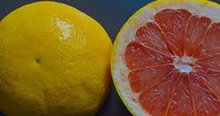 Image result for Grapefruit